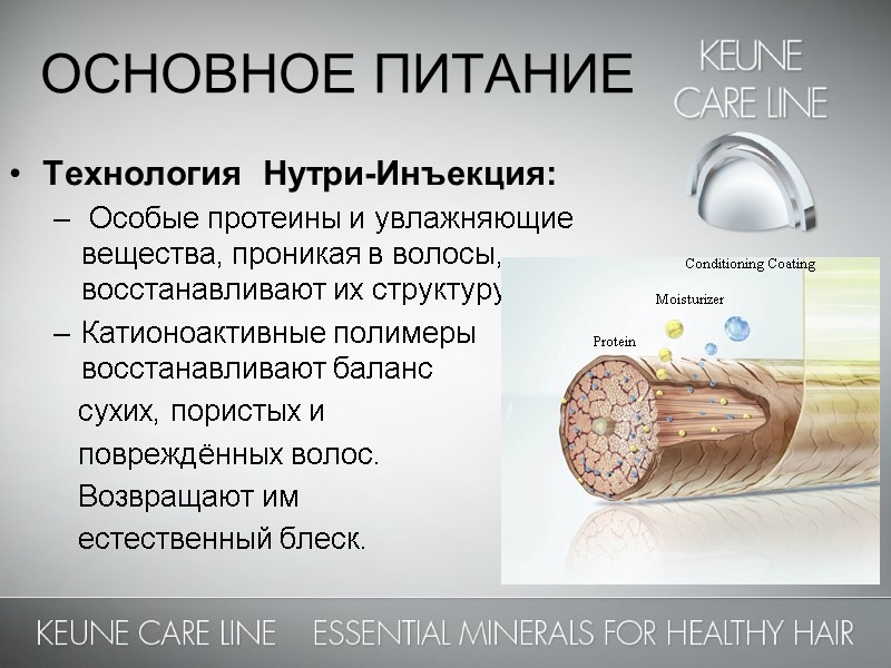 ОСНОВНОЕ ПИТАНИЕ    Технология  Нутри-Инъекция:  Особые протеины и увлажняющие вещества,